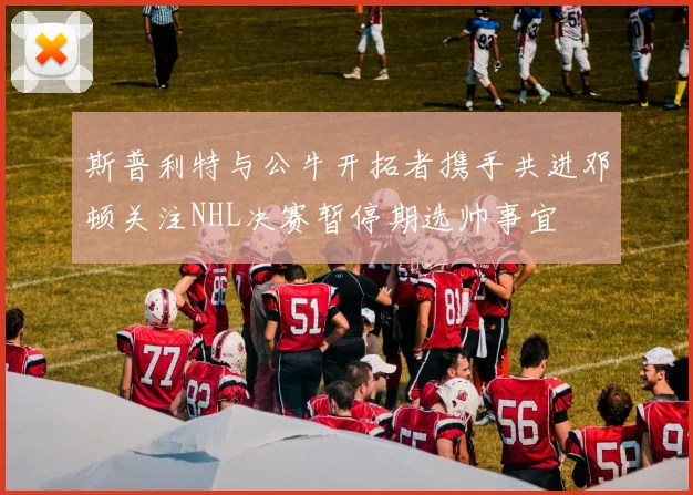 斯普利特与公牛开拓者携手共进邓顿关注NHL决赛暂停期选帅事宜